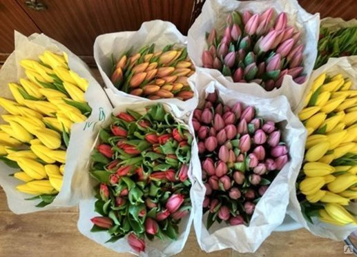 Где Купить Тюльпаны В Самаре