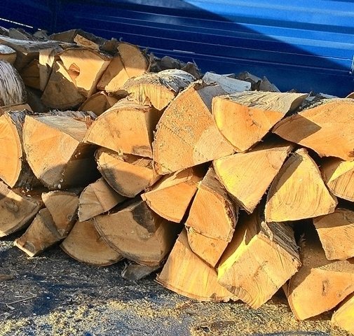 Сырые дрова. Долго ли сохнут дрова. Дровалеты. Сколько сохнут березовые дрова. Какой лучше купить дрова