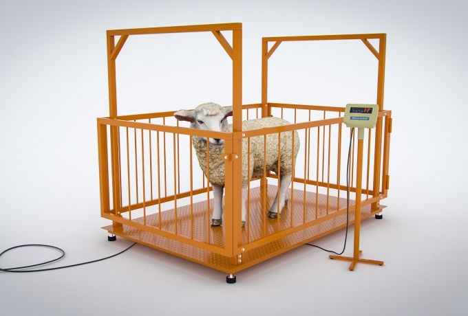 Платформенные весы МВСК С-Н-0,3 (0.75х1,0) с ограждением 1,5 м для взвешивания животных
