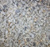 Крошка каменная Мраморная медовая 0х2 мм #1